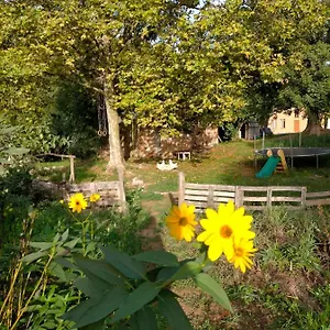 Del Oso Tierraluz Agroturismo Arbúcies